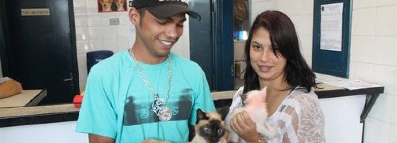 Feira de adoção resulta em 32 animas com novo lar