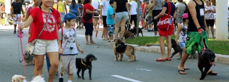 Cominhada reunir pets de todos os tipos neste domingo