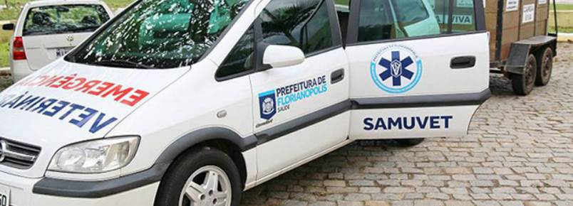 Gabinete propõe criação de Samu para socorrer animais acidentados