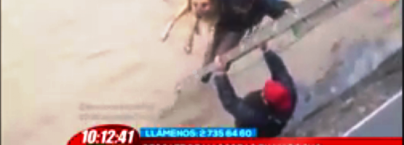 Vendedor ambulante salva a vida de quatro cães em Santiago do Chile