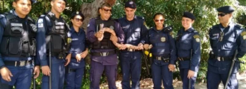 Inspetoria de Proteção Ambiental realiza resgate de animais silvestres