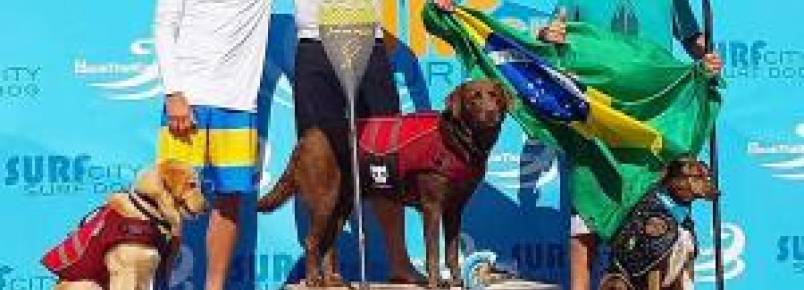 Cães brasileiros ocupam pódio em campeonato internacional de surf