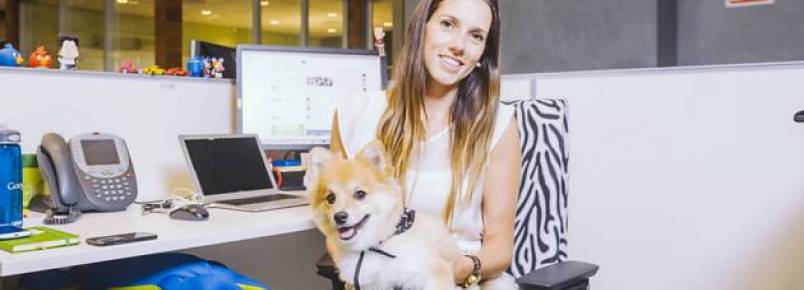 Escritório do Google no Brasil permite animais domésticos no ambiente