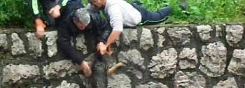 Vídeo mostra resgate angustiante de cachorro durante cheias na Bósnia