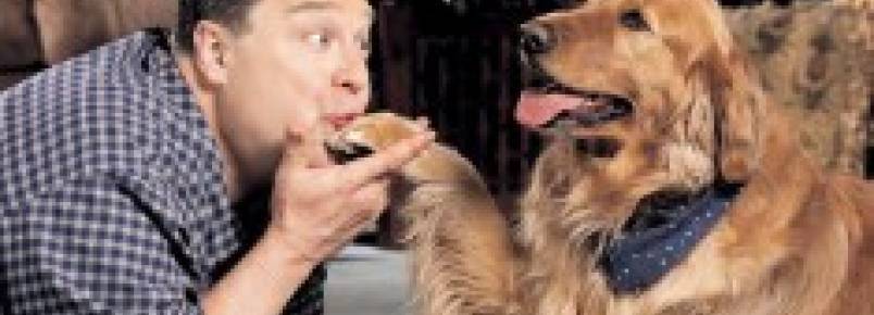 Falar igual bebê com seu cachorro dá certo?