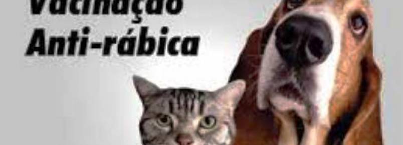 Jardim Liberdade também terá posto de vacinação antirrábica