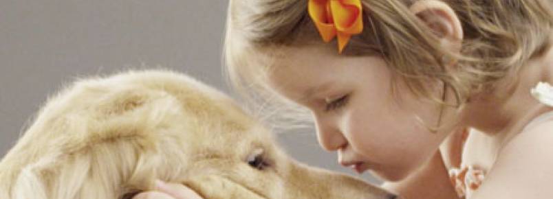 Projeto PetsdoBem garante sustento a animais abandonados 