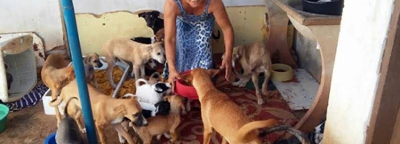 Brumadense diz que terá que soltar 70 animais nas ruas porque não tem mais como cuidar deles