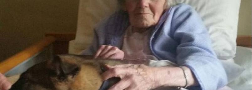 Idosa provoca comoção ao encontrar cadela em asilo na Inglaterra