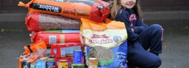 Garota pede que seus pais doem comida para cães carentes ao invés de lhe darem presente de Natal