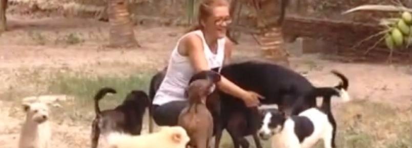 H 26 anos, cuidadora dedica amor a animais