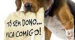 Feira de Adoção de animais acontecerá dia 12 de abril, na Praça da República em São Roque