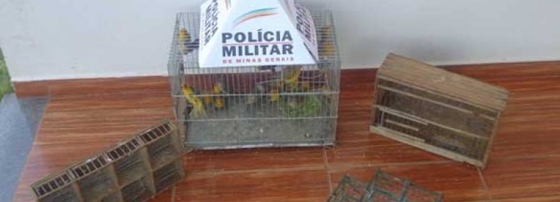 Três pessoas são presas com pássaros da fauna silvestre em Araguari