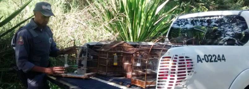 Homem é autuado em mais de R$ 5 mil por manter aves em cativeiro