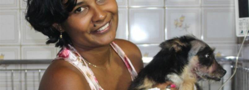 Cachorro  picado por cobra venenosa ao salvar criana