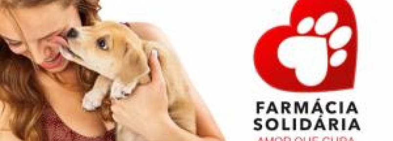 Projeto Farmcia Solidria arrecada e doa medicamentos para ajudar animais resgatados em BH 
