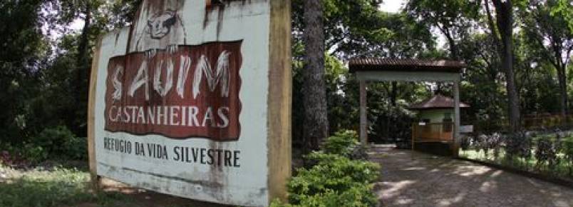 Em local que deveria oferecer abrigo a animais silvestres da Amazônia, falta quase tudo