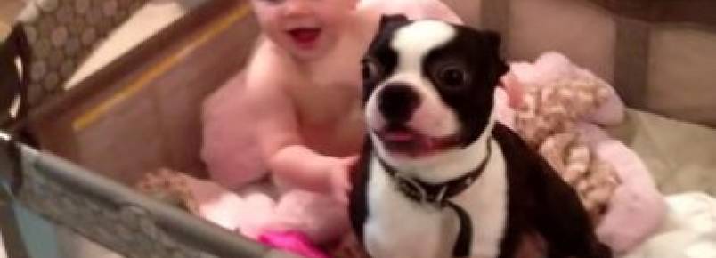 A mamãe mandou sair mas nada tira esse cachorrinho do berço de sua irmã humana