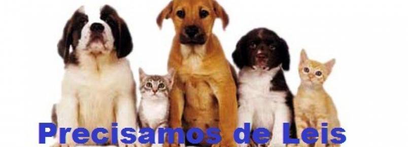 Araquari cria lei de proteção aos animais