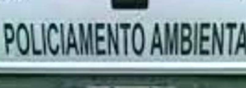 Fiscalização apreende animais silvestres e armas na Bahia