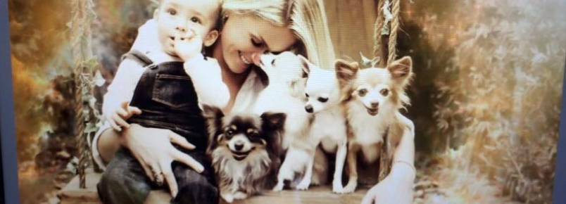 Ana Hickmann, seu filho e alguns de seus ces posaram para campanha contra o abandono de animais