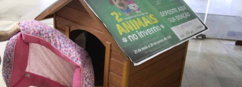 Campanha de Proteção aos Animais conta com 30 pontos de coleta
