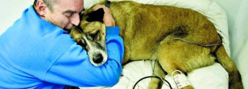 Homem arrisca a vida para salvar seu cão durante incêndio