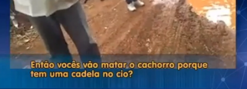 MP, policia e prefeitura investigam execuo de ces por veterinrio