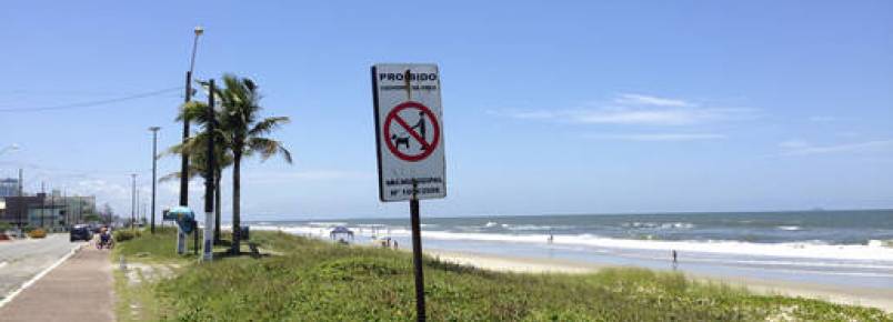 Meio Ambiente dá dicas sobre como levar animais de estimação para as praias