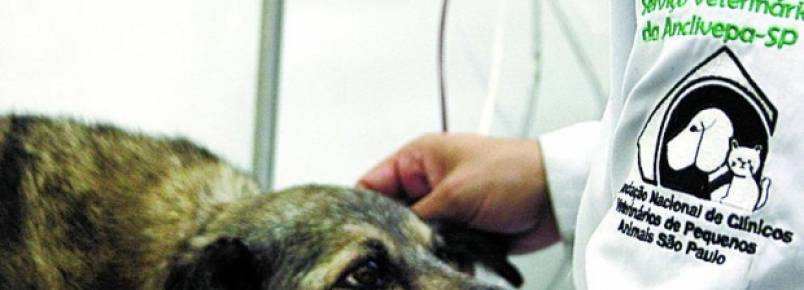 Petição quer hospital para pets 
