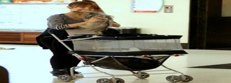 Carla Diaz usa carrinho "de bebê" para passear com cão em shopping