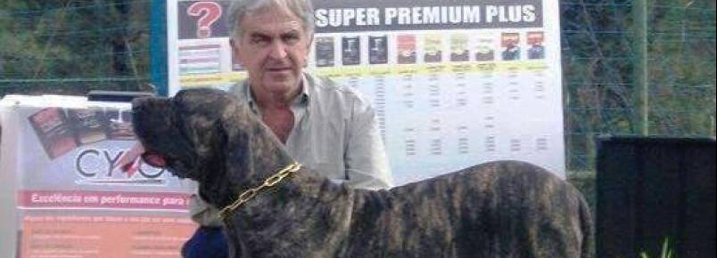 Milton: Uma vida dedicada aos cães 