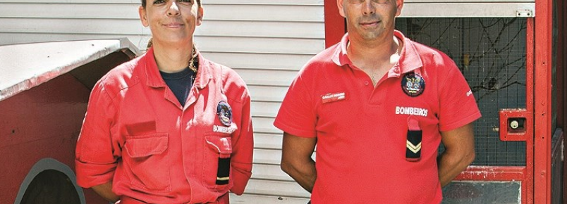 Cão anda 9 km para ir ter com dono