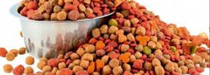 Campanha quer arrecadar doações de alimentos para animais