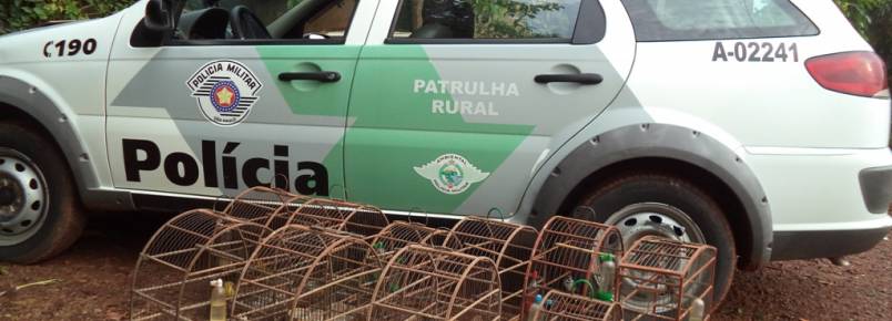 Polícia Ambiental flagra pássaros em cativeiro em Barra Bonita