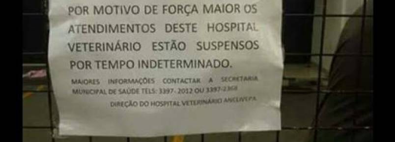 Interrupção no atendimento dos hospitais públicos veterinários de São Paulo causa preocupação aos usuários