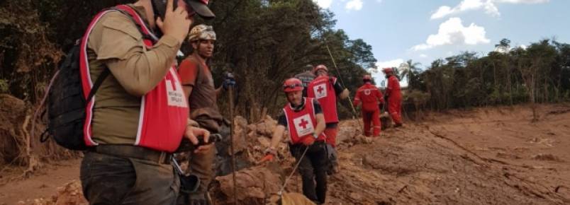 Cães farejadores ajudam a encontrar corpos em Brumadinho