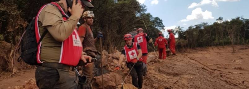 Ces farejadores ajudam a encontrar corpos em Brumadinho