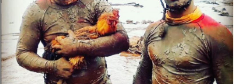 Número de animais resgatados em Brumadinho sobe para 57