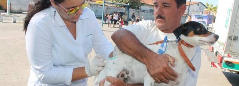 Mais de 19 mil animais j foram vacinados contra a raiva em So Vicente